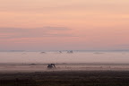 Sonnenaufgang im Teufelsmoor (Postwiesen)