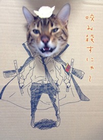 Best Cat Cosplay Ever!