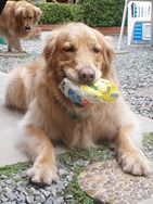[FDS%2520Ecaologico%25206%2520%25289%2529%255B4%255D.jpg]