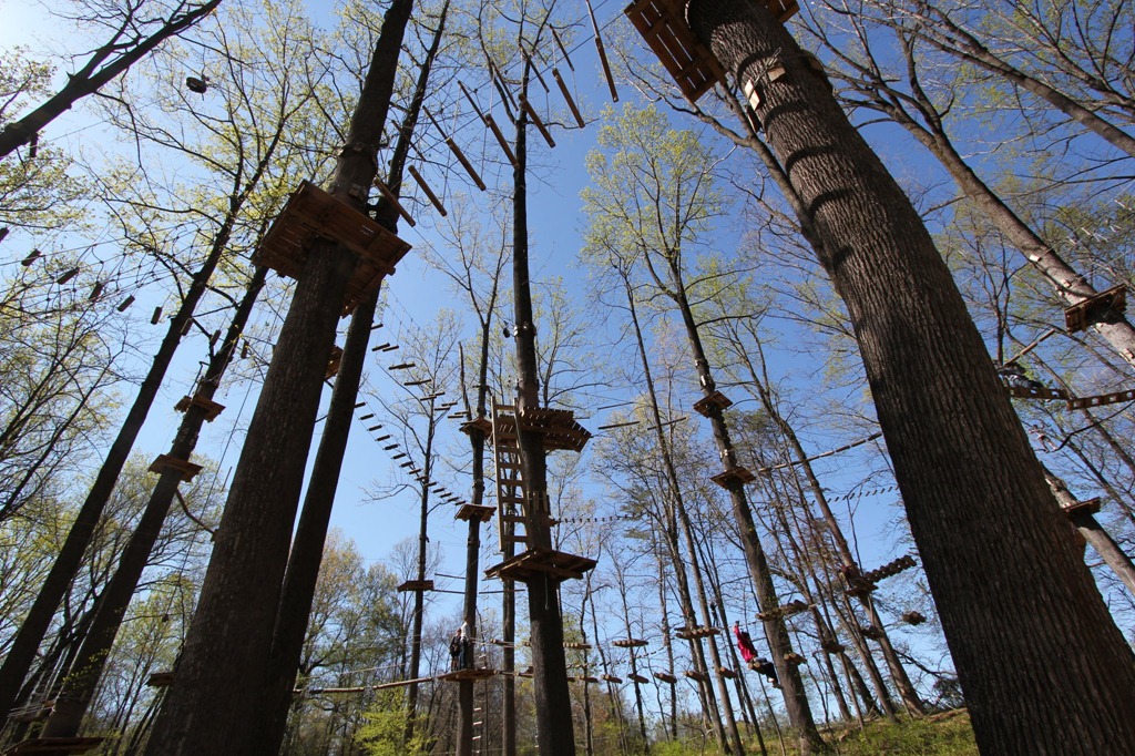 [theadventurepark%255B2%255D.jpg]