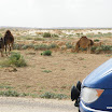 Tunesien-04-2012-080.JPG