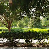 Turfan - Parc