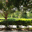Turfan - Parc
