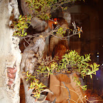 DSC06043.JPG