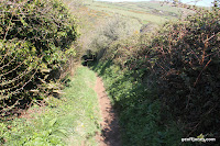 IMG_6035.JPG Photo