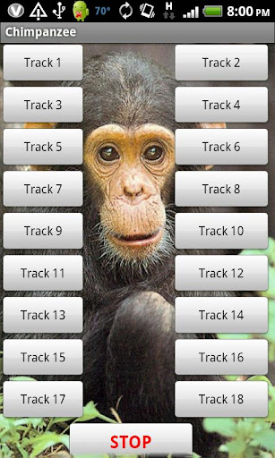 Chimp Sound Effects