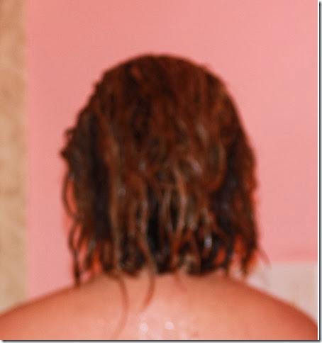 Hair during Clay Shampoo
