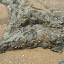 DSCN5717.JPG