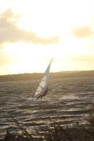 IMG_4634.jpg