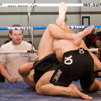 _1220279-crop.jpg