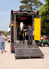 Local rider Nick Gauntlett's rider Electron arriving at Badminton