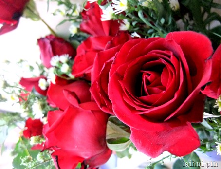 DSCF5881