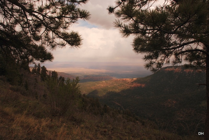 [05-18-13-B-Kaibab-National-Forest-7a.jpg]