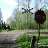 żółty szlak dsc06379.jpg