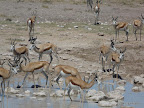 Etosha Nationalpark
