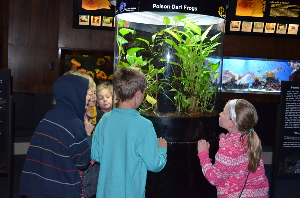 [DSC_0478%255B3%255D.jpg]