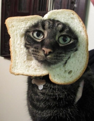 [breading%255B4%255D.jpg]