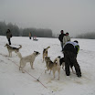 2011038.jpg