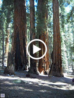 id_3022447