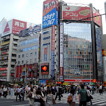 shinjuku pedestrian crossing in Tokyo, Japan 