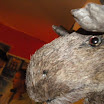 DSCN3295.jpg