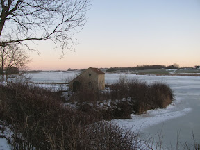 Januar 2011