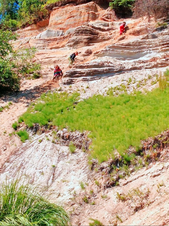 [fish_14%255B4%255D.jpg]