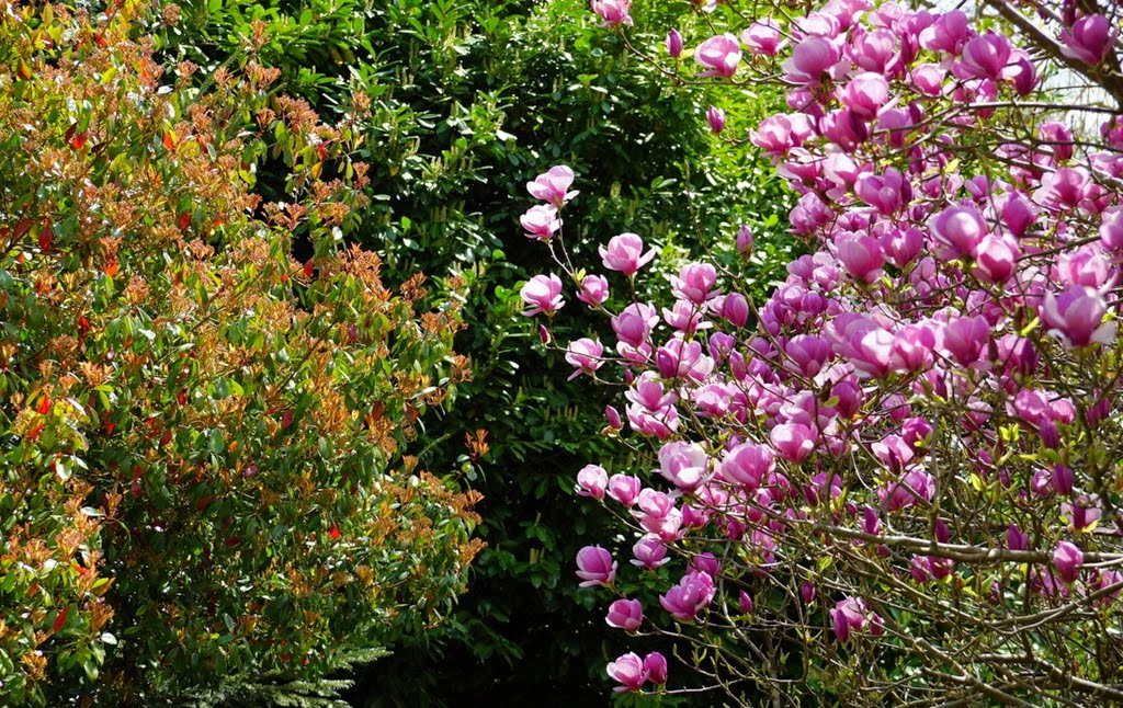 [DSC07341%255B3%255D.jpg]