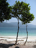  Koh Lipe Resimleri Fotoğrafları