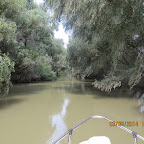 IMG_5769.JPG