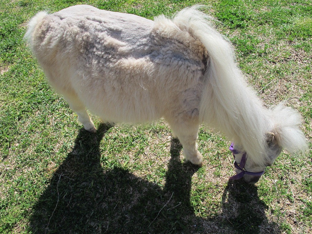 [IMG_7421%255B3%255D.jpg]