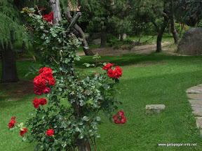 navata_07_2007__1_.jpg
