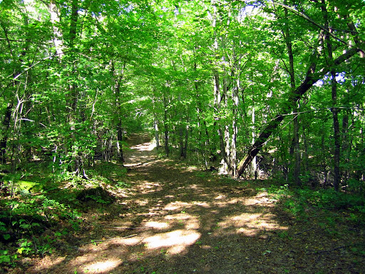 Twin lakes trail