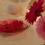 IMG_8226.JPG