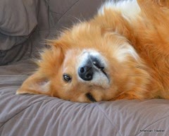 DSC_0886 DSC_0886