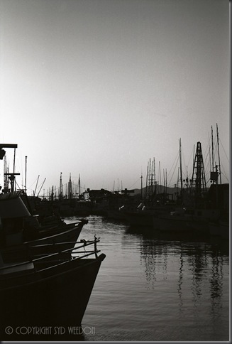 Fishermans Wharf Sundown 82 3