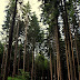 2011.09.11. - Trdinov vrh