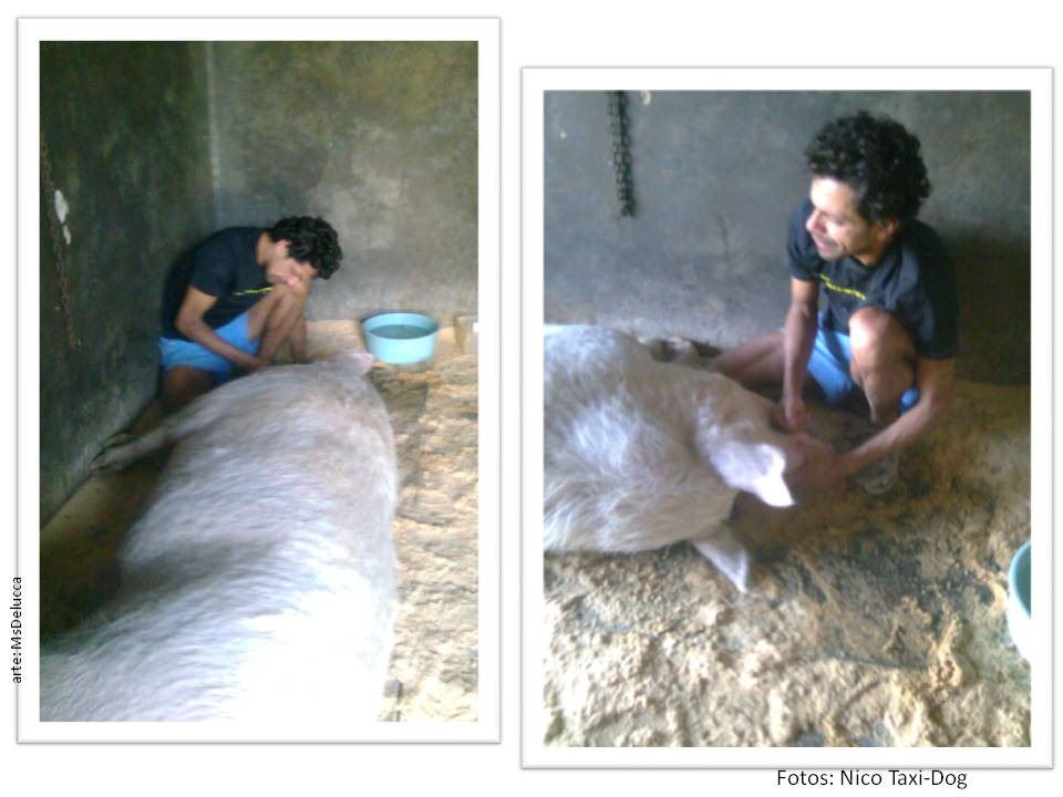 [Slide5%255B2%255D.jpg]