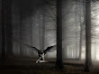 Angel In Black Forest