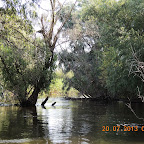 DSCN4591.JPG