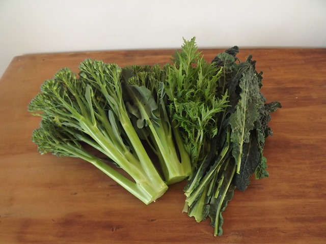 [broccolijune201321.jpg]