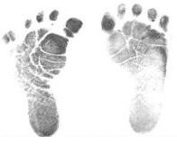 [footprints%255B3%255D.jpg]
