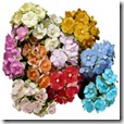 SCrapEmporium_flor_queira_sweetheart_WOC_1371947823-250x250-pm00048 SCrapEmporium_flor_queira_sweetheart_WOC_1371947823-250x250-pm00048