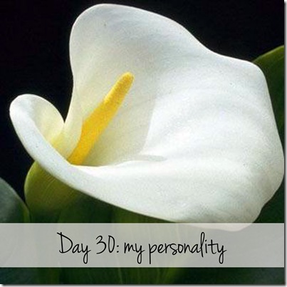 Day 30 my personality