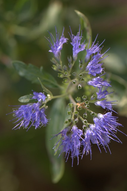 [PICT0801%255B5%255D.jpg]