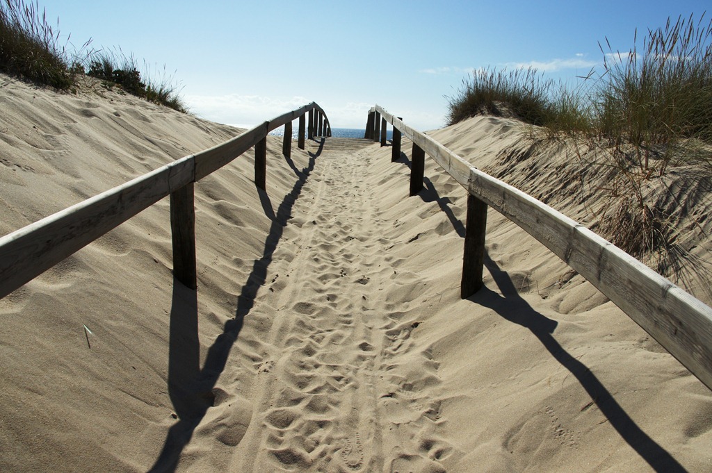 [Gl%25C3%25B3ria%2520Ishizaka%2520-%2520Tocha%2520-%2520%2520praia%2520da%2520Tocha%2520-%2520caminho%2520nas%2520dunas%255B4%255D.jpg]