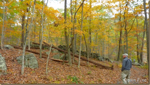 Lantern Hill Hike_077