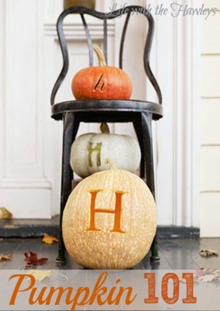 Pumpkin 101 Pumpkin 101