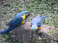 IMGP1676.JPG