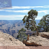 Posando pra foto - Grand Canyon - AZ